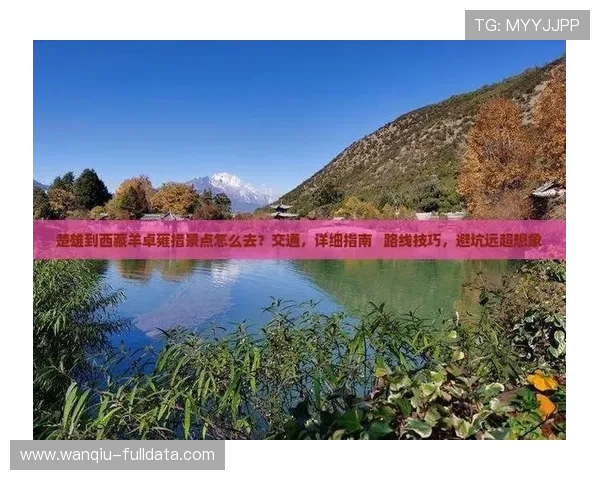 篮球APP彩票数字高频玩法防骗避坑指南